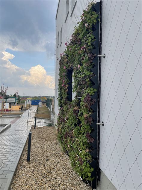 nerezová sieť ako zelená fasáda