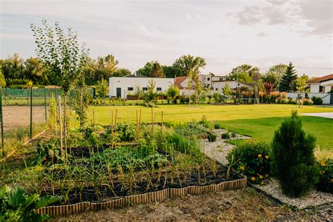 Úžitková záhrada so zvýšenými záhonmi a ovocnými kríkmi