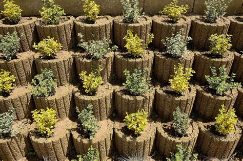 Rôzne typy svahových tvárnic v záhrade