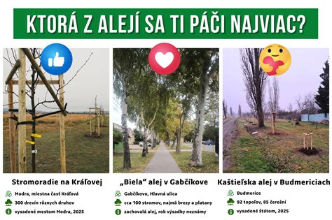 Infografika o správnom načasovaní rezu rôznych druhov stromov