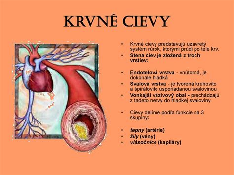 Schéma vzniku podkožného hematómu po narušení cievy