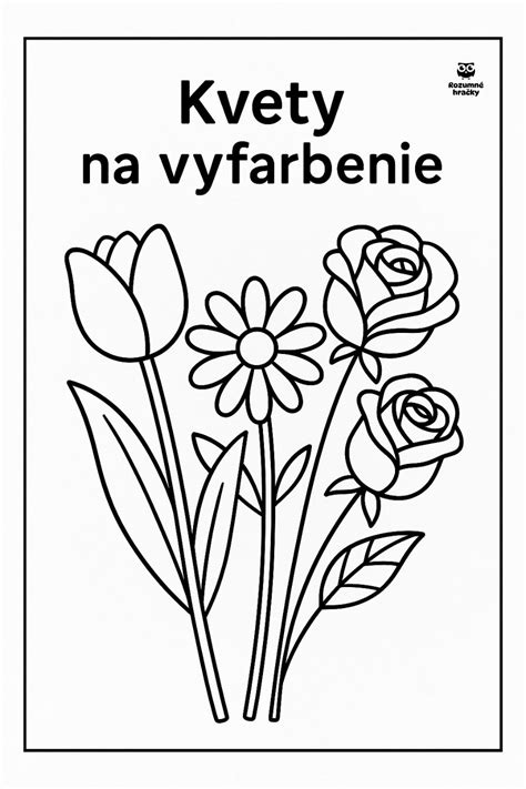 Interiér požičovne náradia s rôznymi typmi brúsok na podlahy