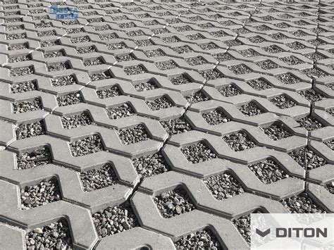Detail zatrávňovacej dlažby DITON s trávou