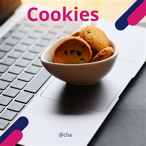 Základná štruktúra webových stránok a interakcia s cookies