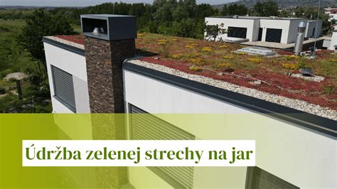 Infografika: Prínosy zelených striech