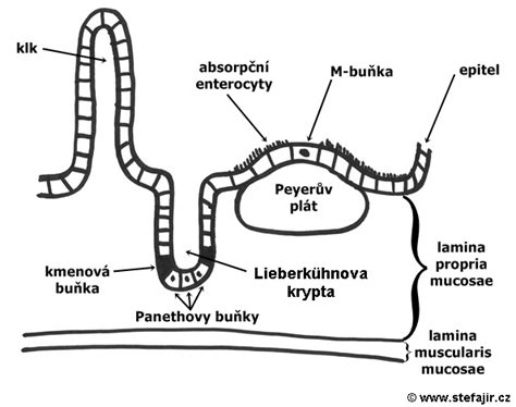 Schéma vrstvenia tenkého epoxidového náteru