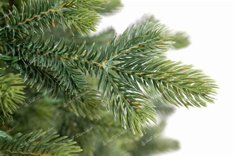 Schéma správneho rozloženia vetvičiek stromčeka