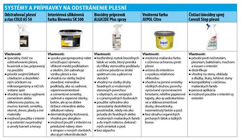 Odstraňovanie plesní zo steny
