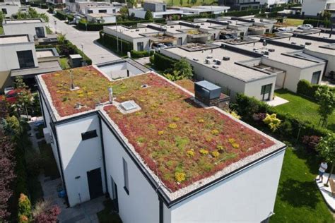 Zelená strecha ako ekologické riešenie