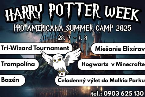 Rôzne typy lietajúcich metiel vo svete Harryho Pottera