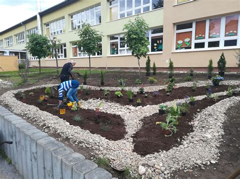 Príklad dažďovej záhrady v mestskom prostredí