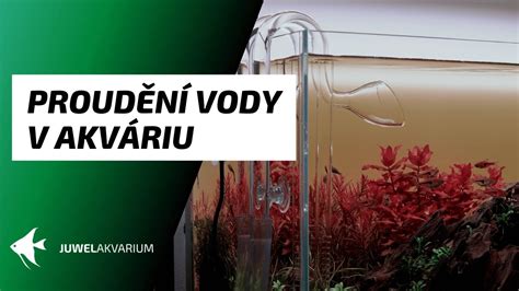 detailná schéma usporiadania kameňov v akváriu