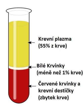 Krvná plazma a jej hlavné zložky