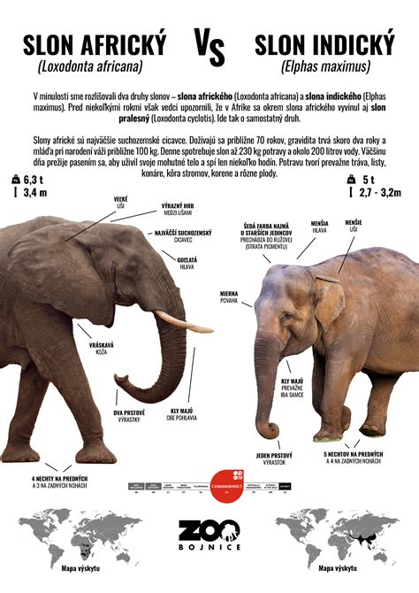 Rozdiel medzi komínom, dymovodom a spalinovou cestou - infografika
