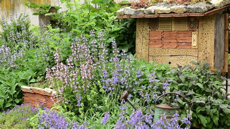 Ideálne umiestnenie psej búdy v záhrade