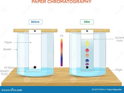 Princíp afinitnej chromatografie s His-tagom