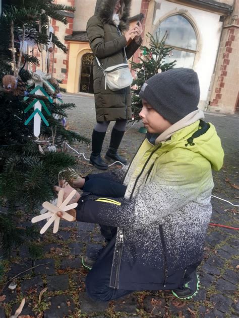 správna recyklácia vianočného stromčeka