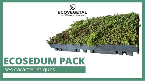 Zásobníky ECOSEDUM PACK na zelenej streche