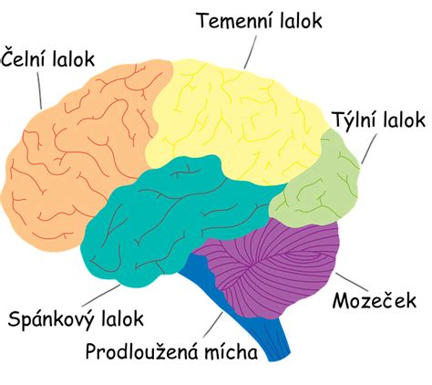 Schéma atiky s popismi jednotlivých častí