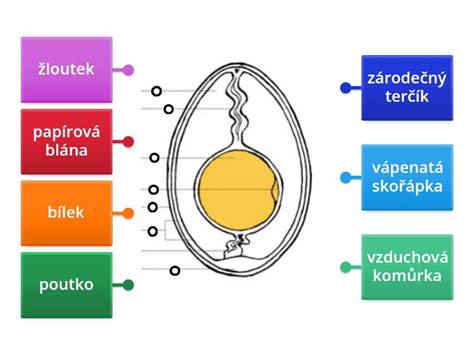 Nákres postupu výmeny pílového listu na dekupírovacej píle