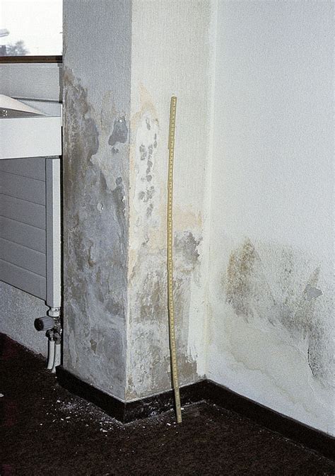 Vlhkosť v murive a jej prejavy: mapy, výkvety soli, odlupujúca sa farba