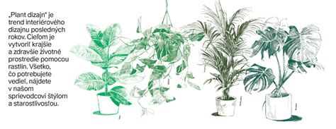 Ilustrácia rôznych druhov dreveného paliva