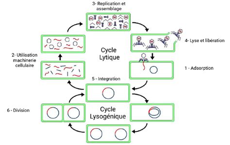 Schéma kontrazárubne Latente