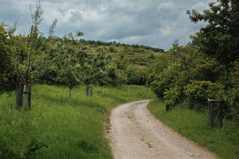 Plánovaná cyklotrasa Modra - Vinosady - Dubová