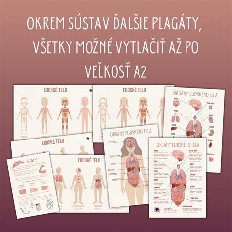 Dôležitosť kyslíka pre ľudské telo
