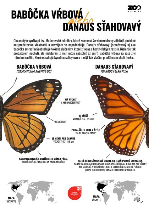 Infografika: Rozdiel medzi lúmenmi a wattmi