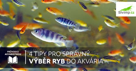 Detail rizika poškriabania akvária