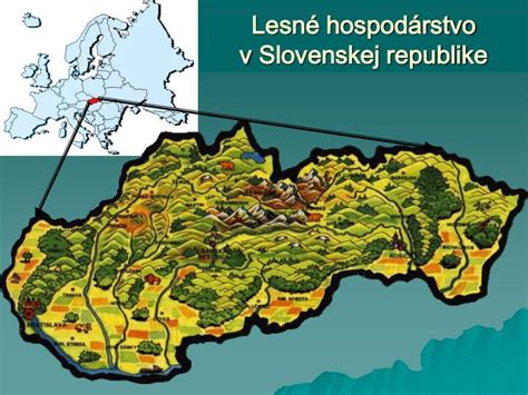 Udržateľné lesné hospodárstvo pre výrobu CLT