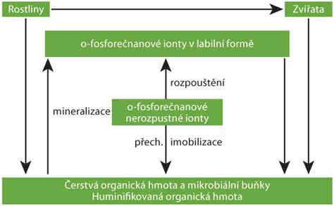 Schéma zostavenia a utesnenia formy