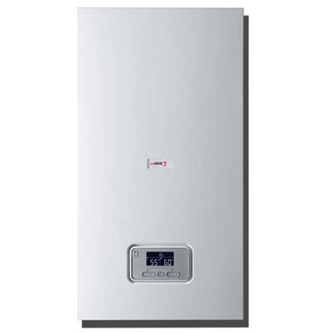 Logo Protherm a elektrický kotol Raja
