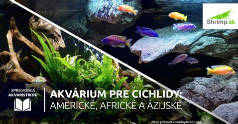 Akvárium s úkrytmi pre cichlidy