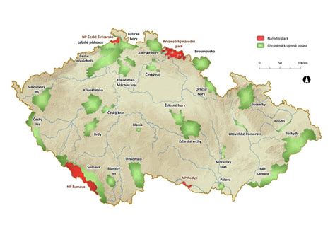 Porovnanie tradičného vápenného náteru a moderných ochranných pást na stromy