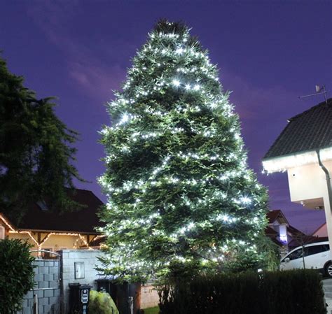 LED svetelné reťaze na záhradnom strome