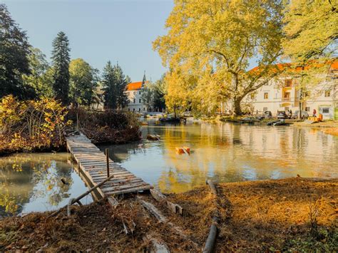 Anglický park pri kaštieli Mošovce