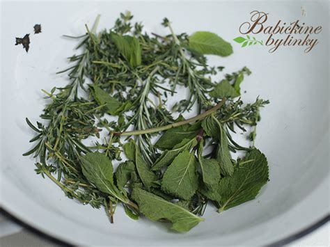 ilustračná fotografia liečby kašľa a byliniek