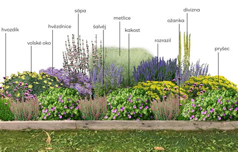 Rôzne typy kvetinových obkladov