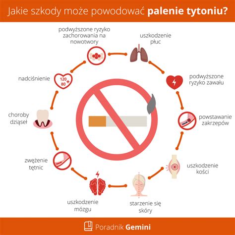 Infografika o zložení tabakového dymu