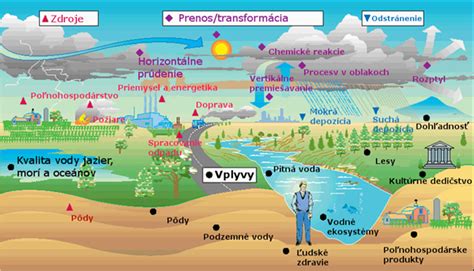 Infografika: Vplyv spaľovania nekvalitného dreva na kvalitu ovzdušia