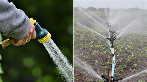 Využitie vyčistenej vody na zavlažovanie