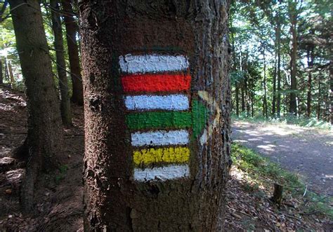 Turistické značenie a dobre udržiavaný chodník k hradu Čabraď