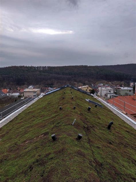 Zelená strešná záhrada na dennom stacionári