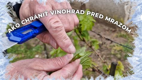 Ochrana čerstvo vyliatej nivelačnej vrstvy pred prievanom