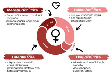 Rôzne bylinky podporujúce ženský cyklus