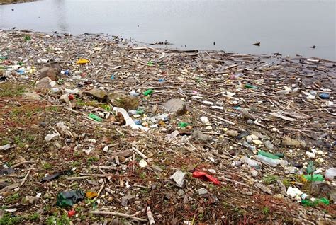 Globálne znečistenie oceánov plastmi