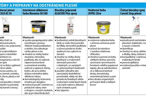 Príčiny vzniku plesní v interiéri