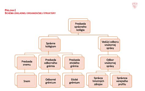 Schéma štruktúry polymérov